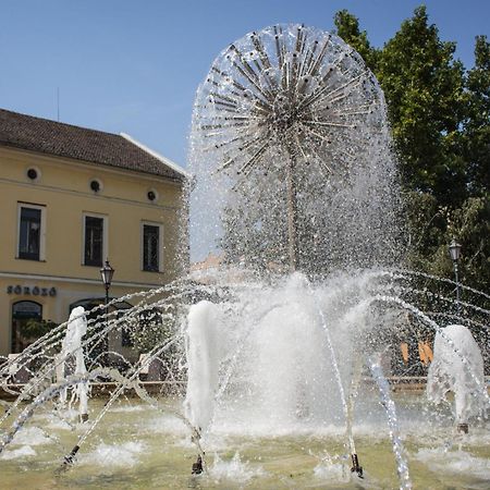 Marusius Apartmanház Makó Kültér fotó